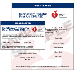 HeartSaver Pediatric First Aid CPR/AED eCard